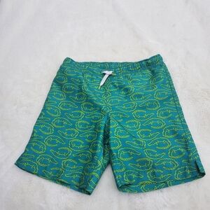 Lands' End Kids Swim Trunks - Green with Yellow Pattern